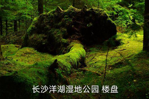  长沙洋湖湿地公园 楼盘