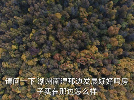 请问一下 湖州南浔那边发展好好吗房子买在那边怎么样
