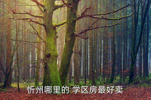 忻州哪里的 学区房最好卖
