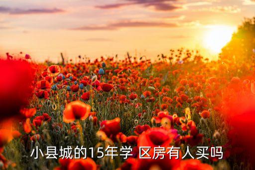 小县城的15年学 区房有人买吗