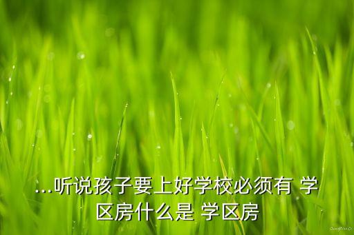 ...听说孩子要上好学校必须有 学区房什么是 学区房
