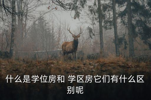 什么是学位房和 学区房它们有什么区别呢