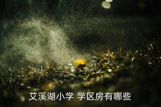 艾溪湖小学 学区房有哪些