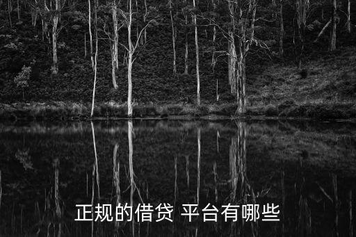 贷款平台有哪些,比较正规的网上贷款平台有哪些