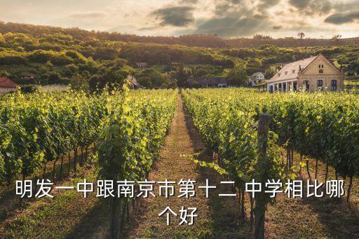 明发一中跟南京市第十二 中学相比哪个好