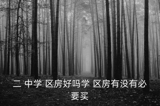 钦州二中学区房大概有哪些,钦州实小二中学区房