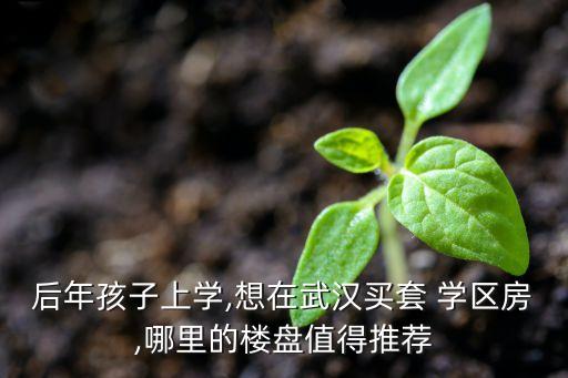 哪里有学区房买,武汉买哪里的学区房好