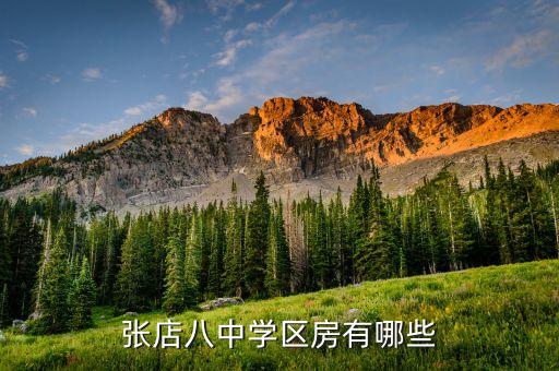张店八中学区房有哪些