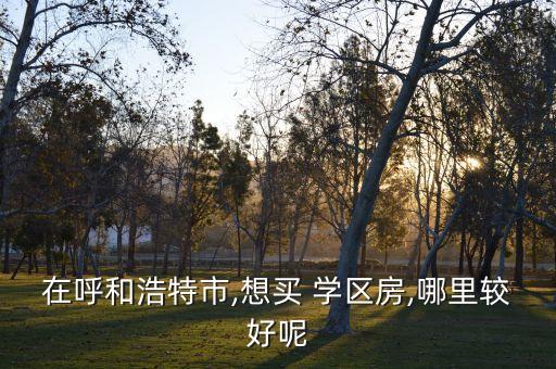 在呼和浩特市,想买 学区房,哪里较好呢