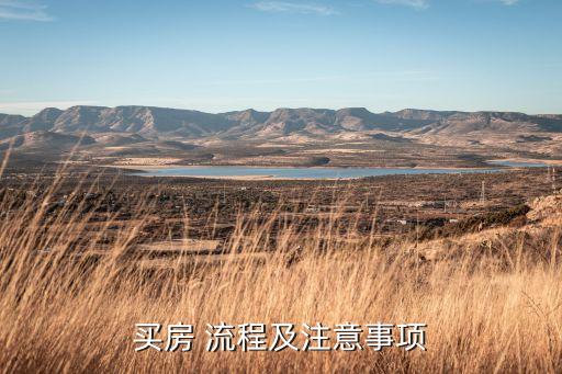 买房 流程及注意事项