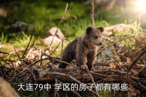 大连79中 学区的房子都有哪些