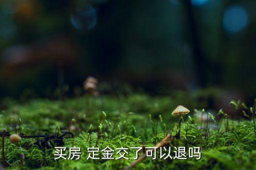 售楼处交完定金能退吗,在售楼处交了定金不想买了怎么办