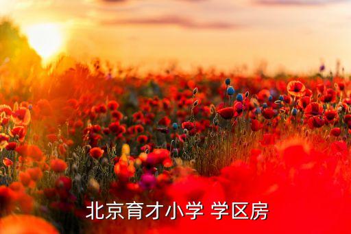  北京育才小学 学区房