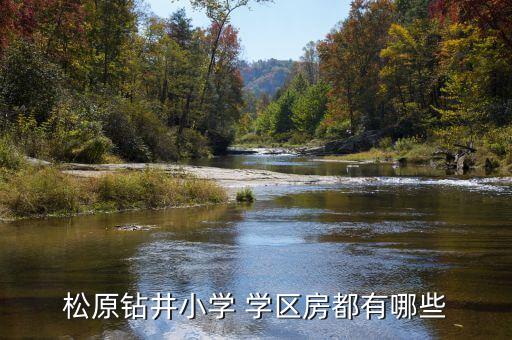 鄢陵小区学区房有哪些名字