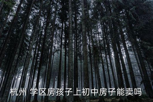 杭州 学区房孩子上初中房子能卖吗