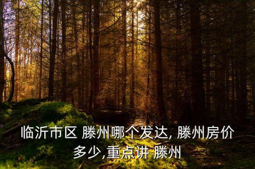 临沂市区 滕州哪个发达, 滕州房价多少,重点讲 滕州