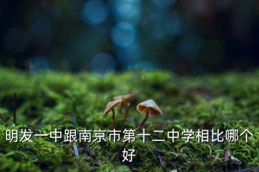 明发一中跟南京市第十二中学相比哪个好