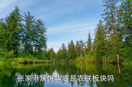 张家港澜悦华庭是农联板块吗