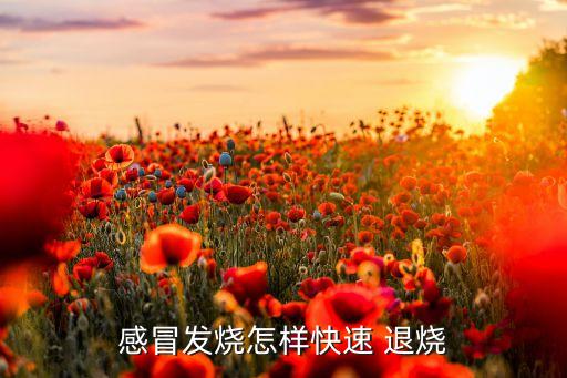 学区房退烧后往哪里走