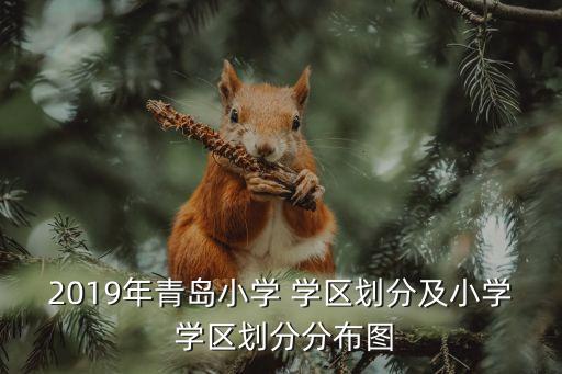 2019年青岛小学 学区划分及小学 学区划分分布图