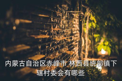 林西都有哪些初中学区房