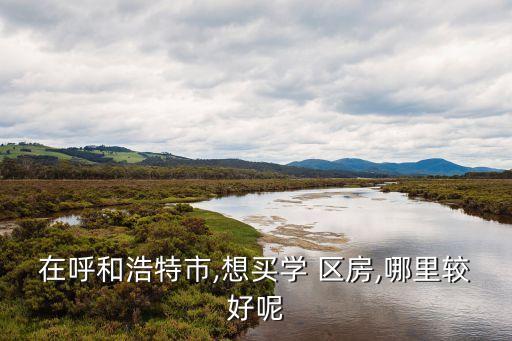 通辽民大学区房在哪里