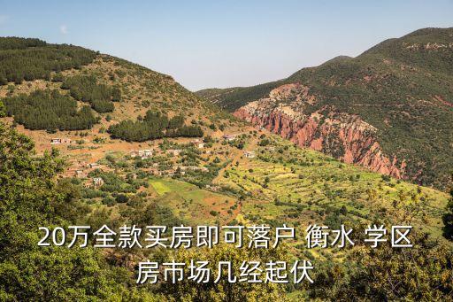 20万全款买房即可落户 衡水 学区房市场几经起伏