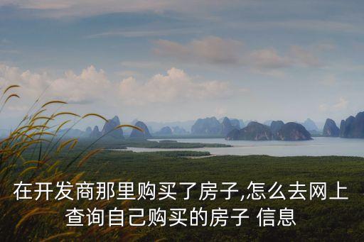 怎么查楼盘信息,如何查楼盘剩余房源