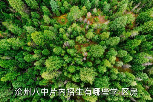 宜昌八中学区房有哪些小区