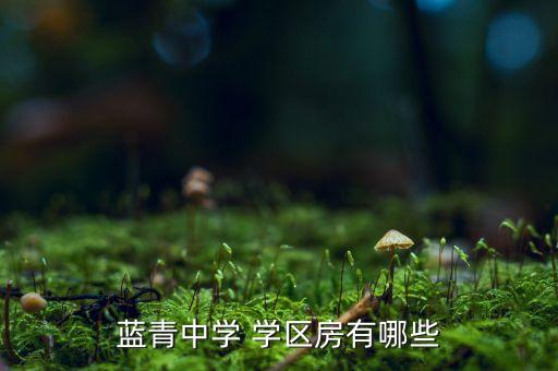 蓝青中学 学区房有哪些