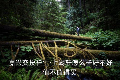  嘉兴交投祥生·上湖轩怎么样好不好值不值得买