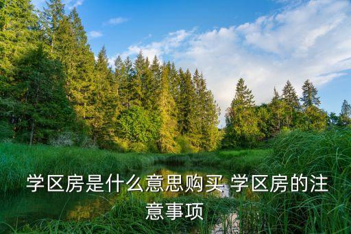  学区房是什么意思购买 学区房的注意事项