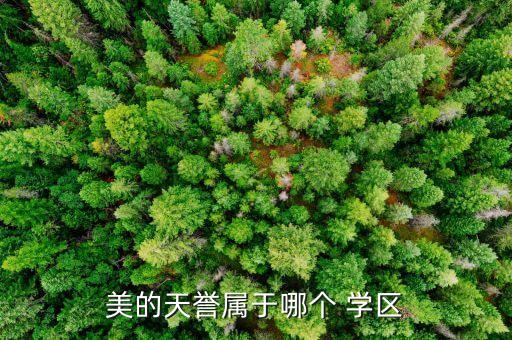 美的天誉属于哪个 学区