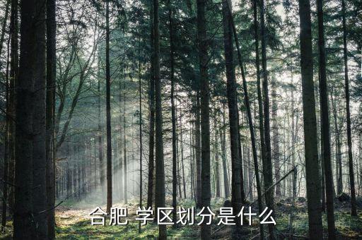  合肥 学区划分是什么