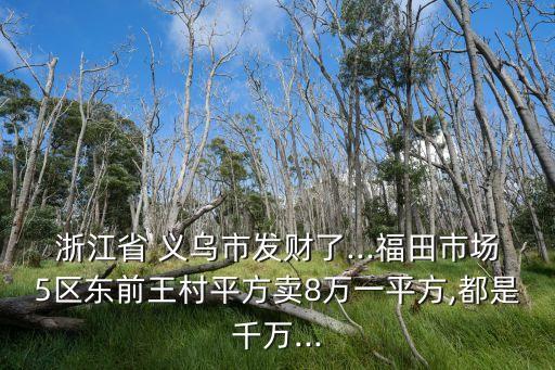 浙江省 义乌市发财了...福田市场5区东前王村平方卖8万一平方,都是千万...