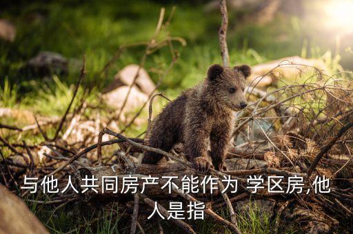 与他人共同房产不能作为 学区房,他人是指