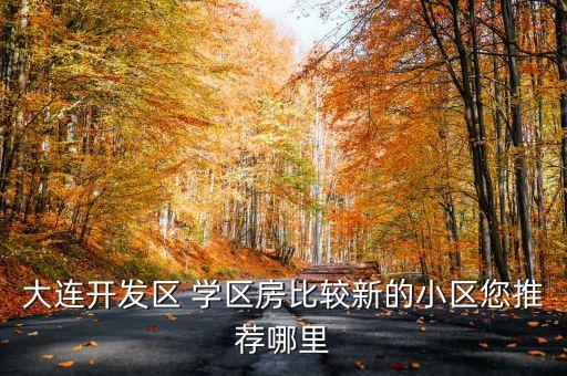 大连开发区 学区房比较新的小区您推荐哪里