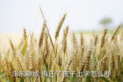 拆迁证明入学用,拆迁的孩子怎么入学
