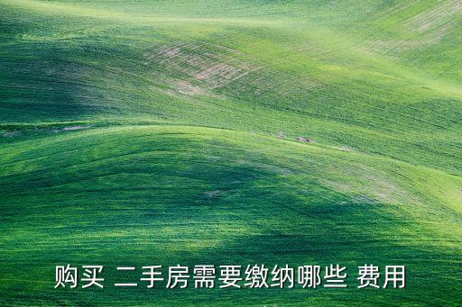 购买 二手房需要缴纳哪些 费用
