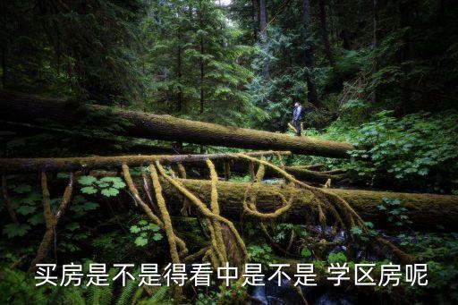  买房是不是得看中是不是 学区房呢