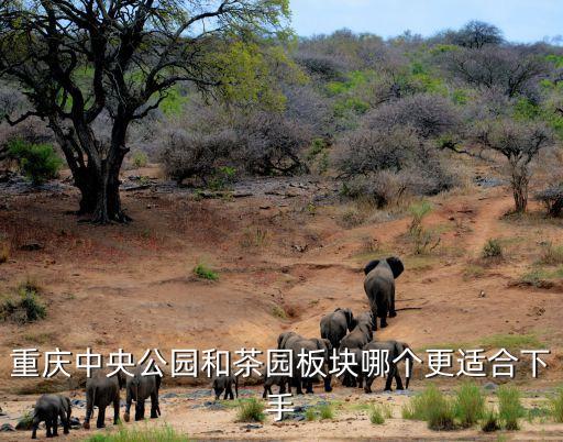 渝北两江新区哪个学区房好