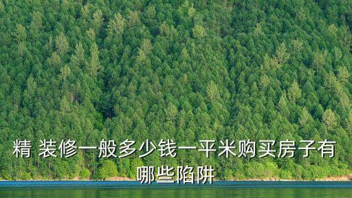 精 装修一般多少钱一平米购买房子有哪些陷阱