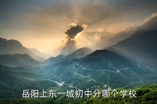  岳阳上东一城初中分哪个学校
