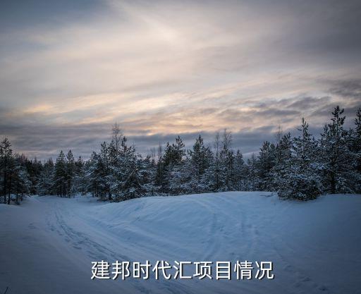  建邦时代汇项目情况