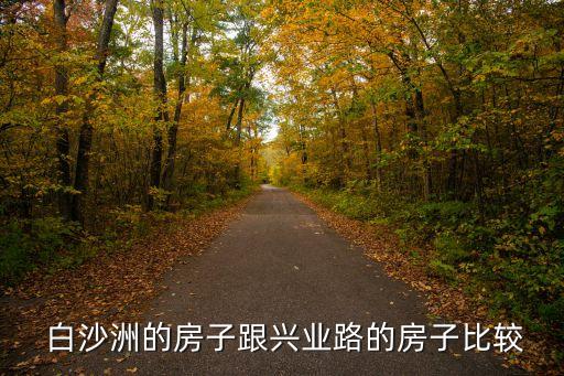  白沙洲的房子跟兴业路的房子比较