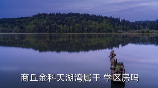  商丘金科天湖湾属于 学区房吗