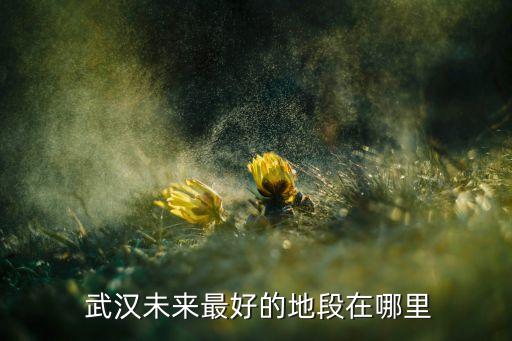 武汉未来最好的地段在哪里
