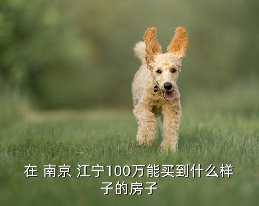 在 南京 江宁100万能买到什么样子的房子