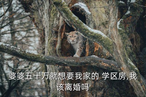 婆婆五十万就想要我家的 学区房,我该离婚吗