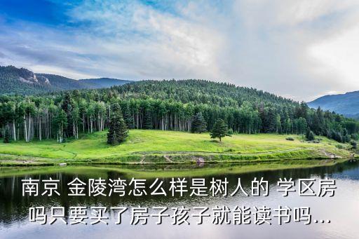 南京 金陵湾怎么样是树人的 学区房吗只要买了房子孩子就能读书吗...